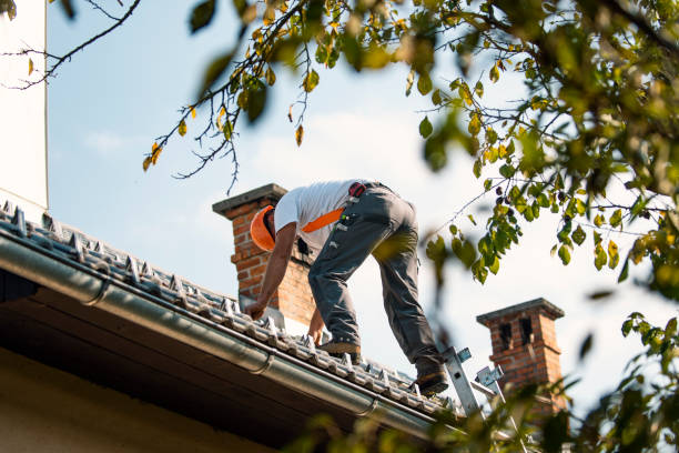 Roof Gutter Cleaning in Terra Bella, CA